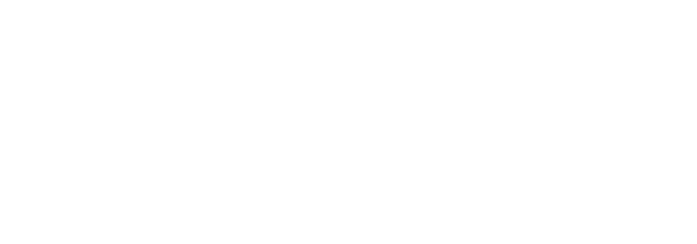 Seawall logo